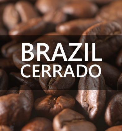 Brazil Cerrado