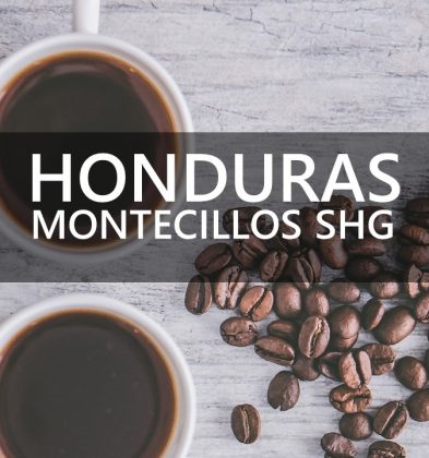 Honduras Montecillos SHG