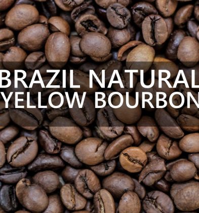 Brazil Natural Yellow Burbon Cachoeira Da Gama Farm